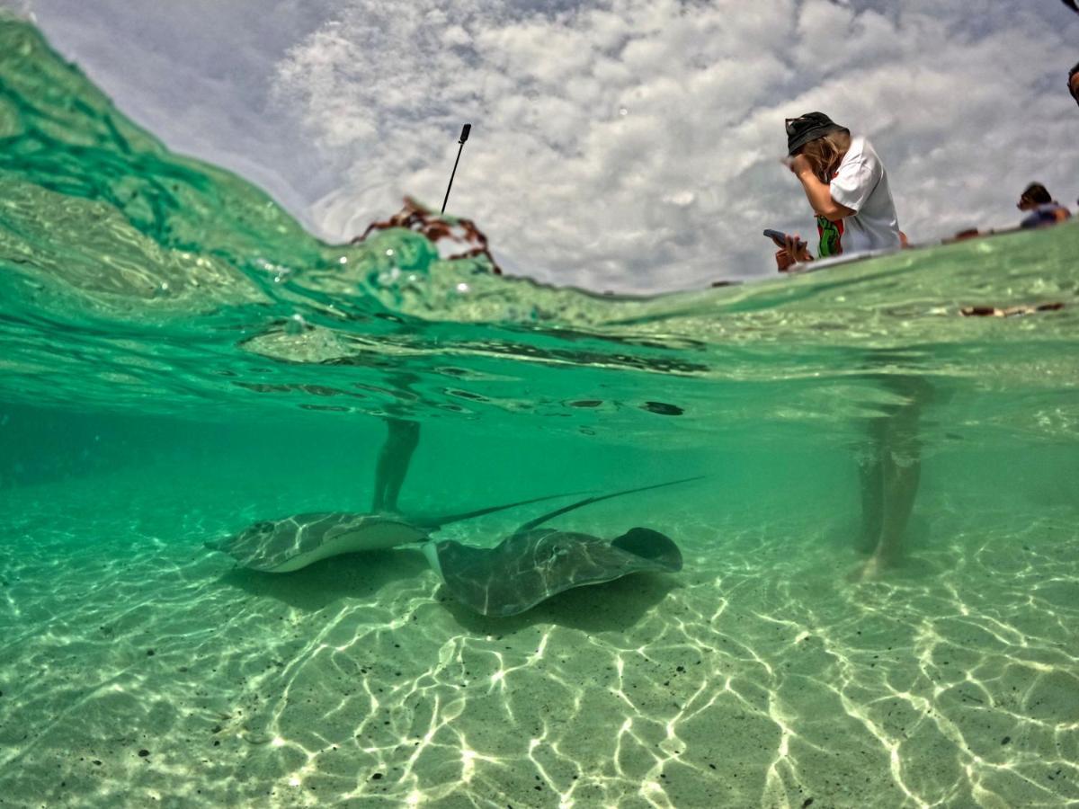 Adroit Beach Inn Guraidhoo  Exteriér fotografie