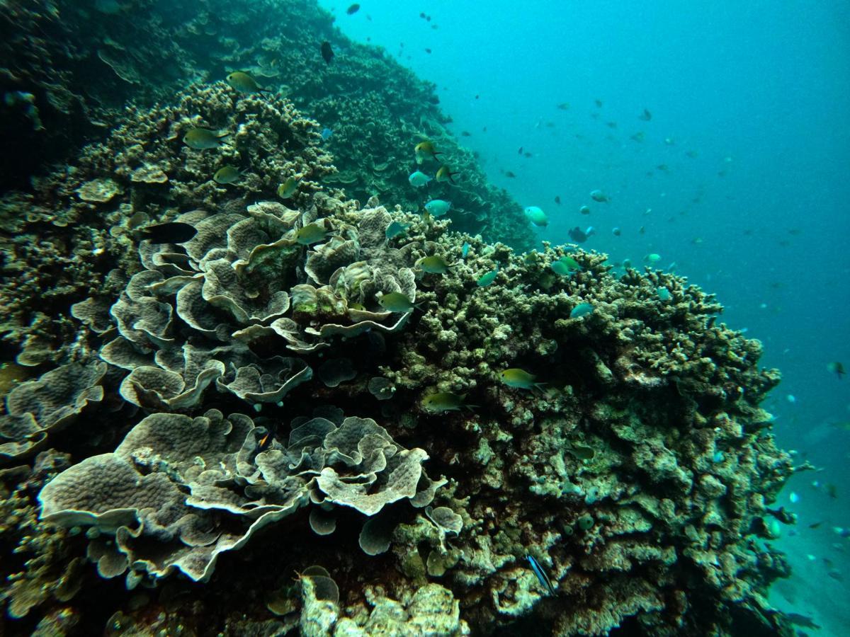 Adroit Beach Inn Guraidhoo  Exteriér fotografie